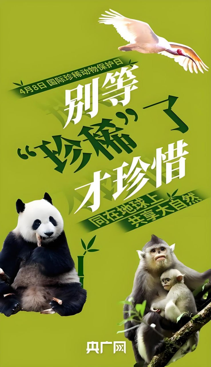 忍者学园